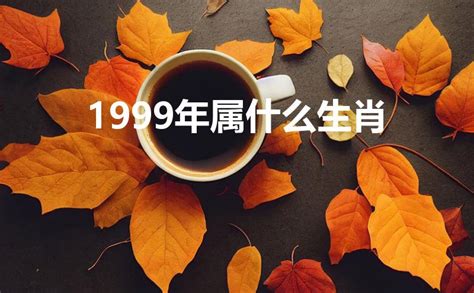 1999屬|1999年出生属什么生肖 1999年属兔是什么命